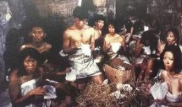 电影打蛇在线观看,惊心动魄的蛇影追踪之旅